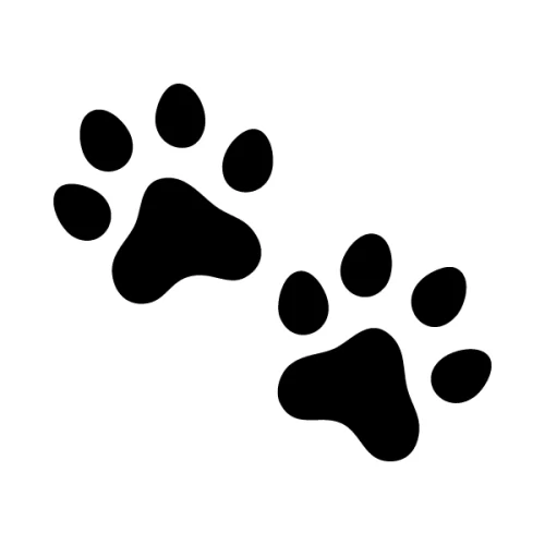 Patas de perro